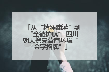 从“精准滴灌”到“全链护航” 四川朝天擦亮营商环境“金字招牌”