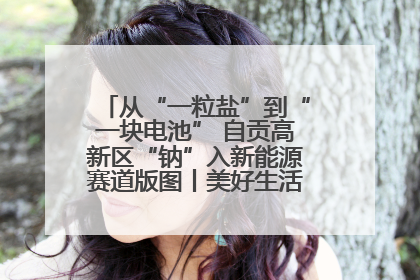 从“一粒盐”到“一块电池” 自贡高新区“钠”入新能源赛道版图丨美好生活有“盐”味