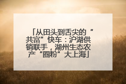 从田头到舌尖的“共富”快车：沪湖供销联手，湖州生态农产“圈粉”大上海