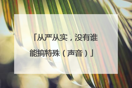 从严从实，没有谁能搞特殊（声音）