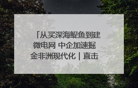 从买深海鳀鱼到建微电网 中企加速掘金非洲现代化｜直击中非经贸博览会