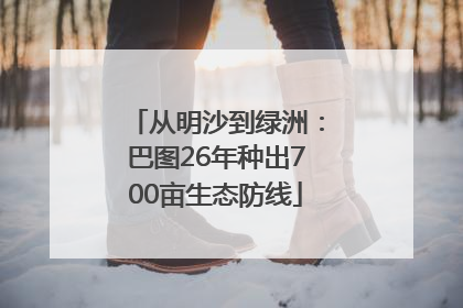 从明沙到绿洲：巴图26年种出700亩生态防线