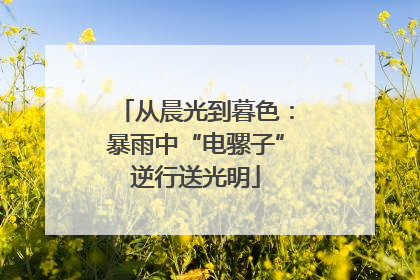 从晨光到暮色：暴雨中“电骡子”逆行送光明