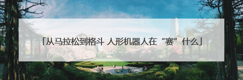 从马拉松到格斗 人形机器人在“赛”什么