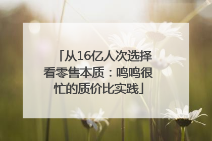 从16亿人次选择看零售本质：鸣鸣很忙的质价比实践