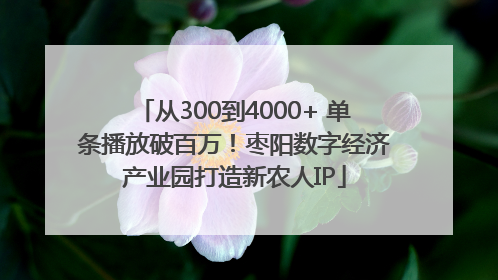 从300到4000+ 单条播放破百万！枣阳数字经济产业园打造新农人IP