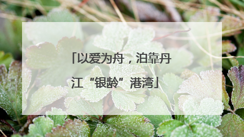 以爱为舟，泊靠丹江“银龄”港湾