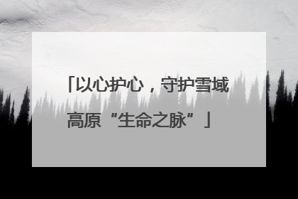 以心护心，守护雪域高原“生命之脉”