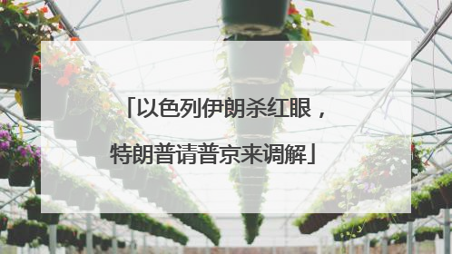以色列伊朗杀红眼，特朗普请普京来调解