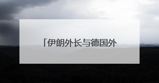 伊朗外长与德国外长通电话 强调愿继续对话建立信任