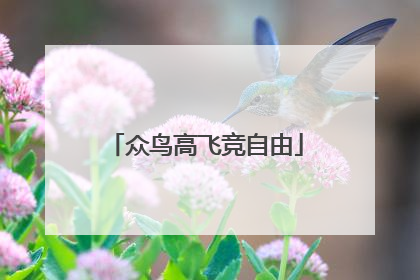 众鸟高飞竞自由