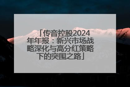 传音控股2024年年报：新兴市场战略深化与高分红策略下的突围之路
