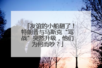 友谊的小船翻了！特朗普与马斯克“骂战”突然升级，他们为何而吵？