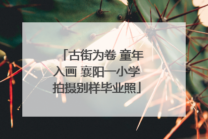 古街为卷 童年入画 襄阳一小学拍摄别样毕业照