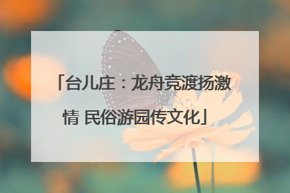 台儿庄：龙舟竞渡扬激情 民俗游园传文化