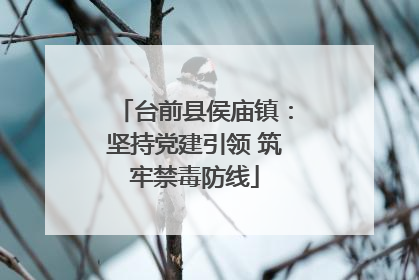 台前县侯庙镇：坚持党建引领 筑牢禁毒防线