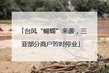 台风“蝴蝶”来袭,三亚部分商户暂时停业