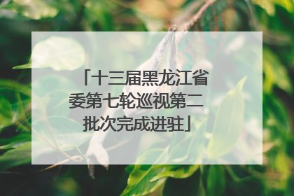 十三届黑龙江省委第七轮巡视第二批次完成进驻