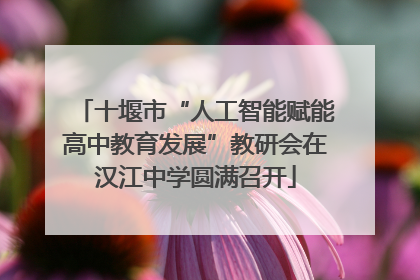 十堰市“人工智能赋能高中教育发展”教研会在汉江中学圆满召开