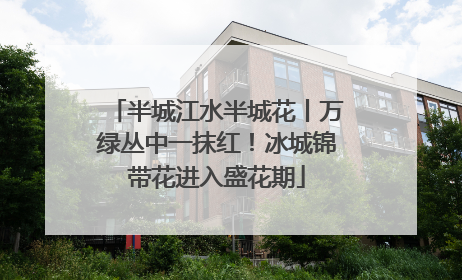 半城江水半城花丨万绿丛中一抹红！冰城锦带花进入盛花期