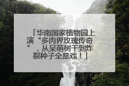 华南国家植物园上演“多肉界玫瑰传奇”，从呆萌树干到炸裂种子全是戏！