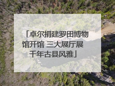 卓尔捐建罗田博物馆开馆 三大展厅展千年古县风雅