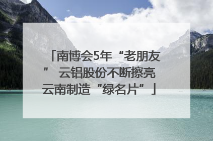 南博会5年“老朋友” 云铝股份不断擦亮云南制造“绿名片”