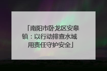 南阳市卧龙区安皋镇：以行动排查水域 用责任守护安全