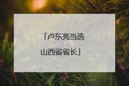 卢东亮当选山西省省长
