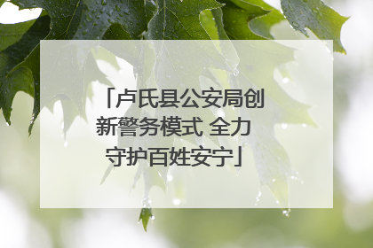 卢氏县公安局创新警务模式 全力守护百姓安宁