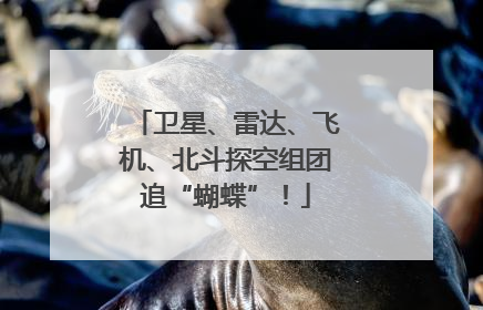 卫星、雷达、飞机、北斗探空组团追“蝴蝶”！