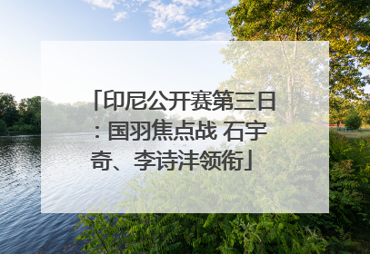 印尼公开赛第三日：国羽焦点战 石宇奇、李诗沣领衔