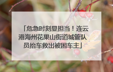 危急时刻显担当！连云港海州花果山街道城管队员抬车救出被困车主