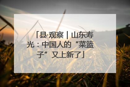 县·观察｜山东寿光：中国人的“菜篮子”又上新了