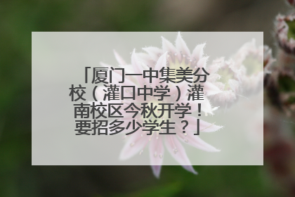 厦门一中集美分校（灌口中学）灌南校区今秋开学！要招多少学生？