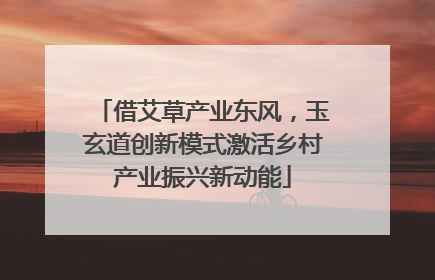 借艾草产业东风，玉玄道创新模式激活乡村产业振兴新动能