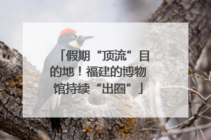假期“顶流”目的地！福建的博物馆持续“出圈”