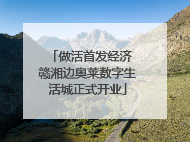 做活首发经济 赣湘边奥莱数字生活城正式开业