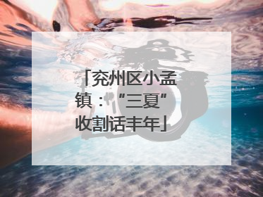 兖州区小孟镇：“三夏”收割话丰年