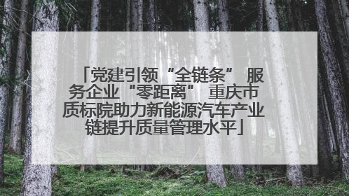 党建引领“全链条” 服务企业“零距离” 重庆市质标院助力新能源汽车产业链提升质量管理水平
