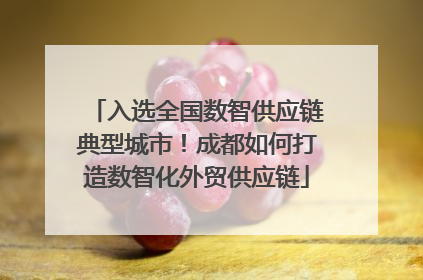 入选全国数智供应链典型城市！成都如何打造数智化外贸供应链