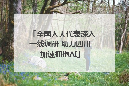全国人大代表深入一线调研 助力四川加速拥抱AI