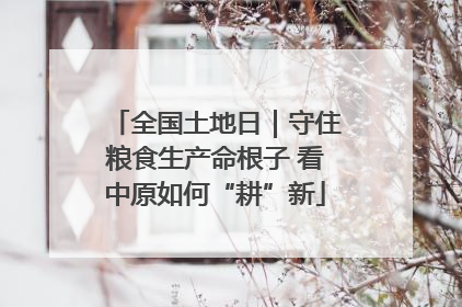 全国土地日｜守住粮食生产命根子 看中原如何“耕”新