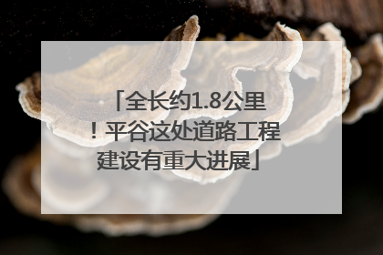 全长约1.8公里！平谷这处道路工程建设有重大进展
