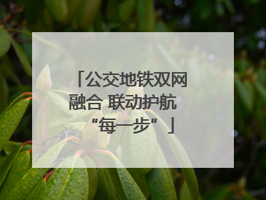 公交地铁双网融合 联动护航“每一步”