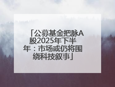 公募基金把脉A股2025年下半年：市场或仍将围绕科技叙事