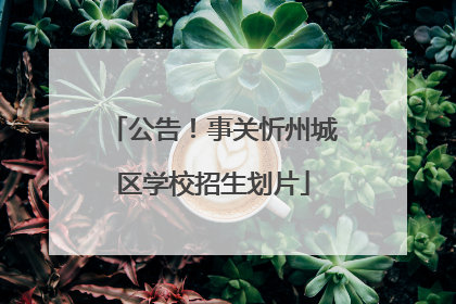公告！事关忻州城区学校招生划片