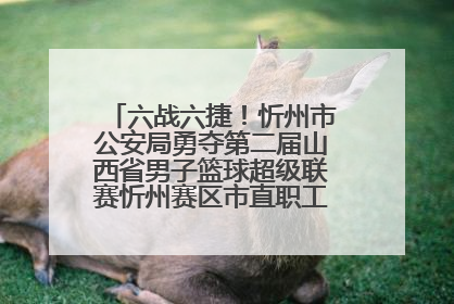 六战六捷！忻州市公安局勇夺第二届山西省男子篮球超级联赛忻州赛区市直职工组比赛冠军