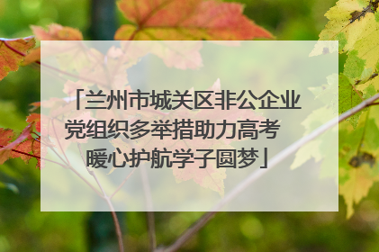 兰州市城关区非公企业党组织多举措助力高考 暖心护航学子圆梦