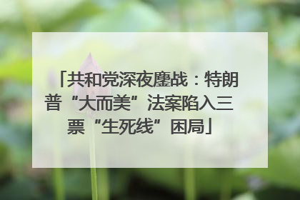 共和党深夜鏖战：特朗普“大而美”法案陷入三票“生死线”困局